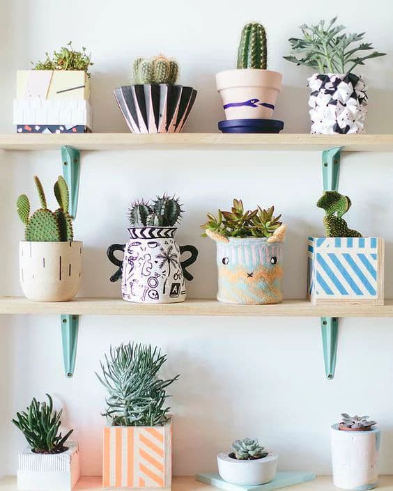 10 plantas fáceis de cuidar para apartamento 1