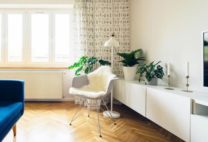 10 plantas fáceis de cuidar para apartamento