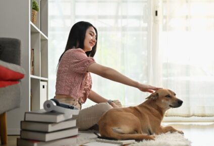 Cuidados com cachorro em apartamento pequeno