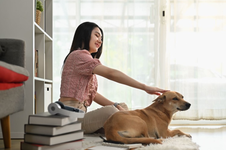 Cuidados com cachorro em apartamento pequeno