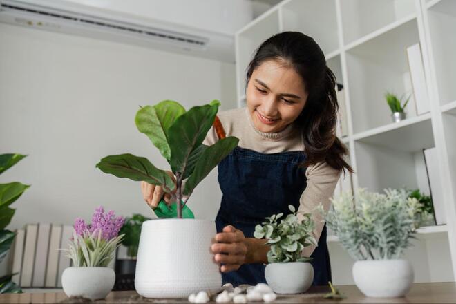 Plantas na Decoração: Ideias para Incorporar a Natureza no seu Apartamento